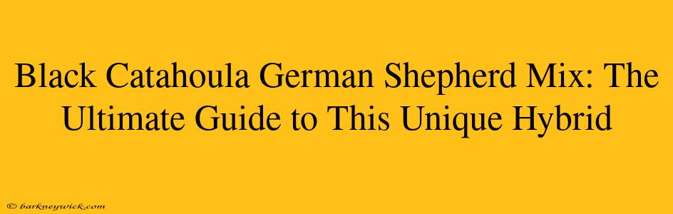 Black Catahoula German Shepherd Mix: The Ultimate Guide to This Unique Hybrid