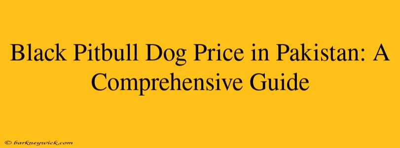 Black Pitbull Dog Price in Pakistan: A Comprehensive Guide