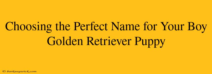 Choosing the Perfect Name for Your Boy Golden Retriever Puppy