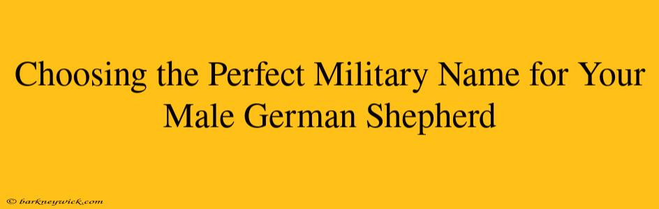 Choosing the Perfect Military Name for Your Male German Shepherd 