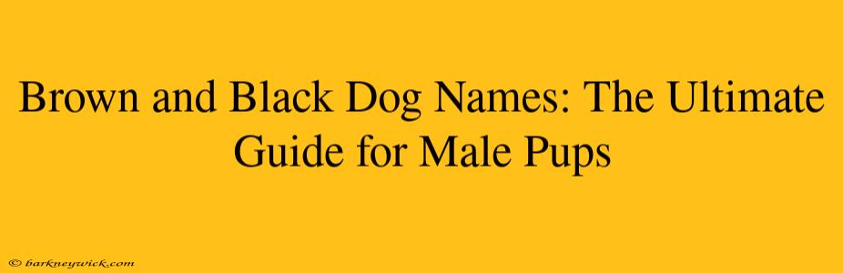 Brown and Black Dog Names: The Ultimate Guide for Male Pups