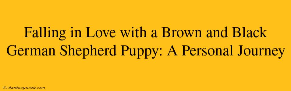 Falling in Love with a Brown and Black German Shepherd Puppy: A Personal Journey