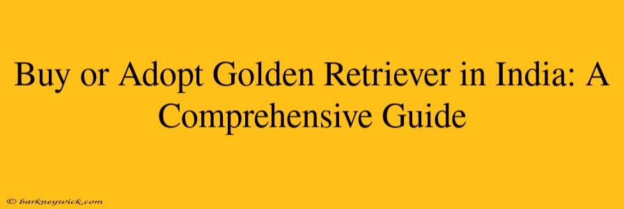 Buy or Adopt Golden Retriever in India: A Comprehensive Guide