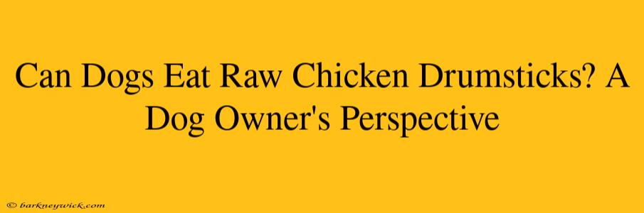 Can Dogs Eat Raw Chicken Drumsticks? A Dog Owner's Perspective