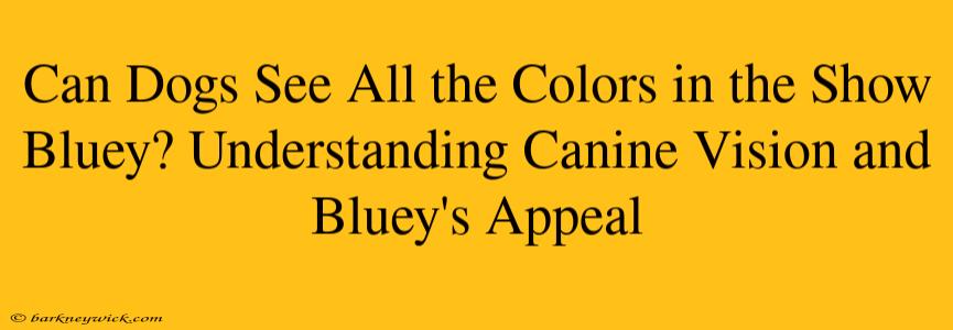 Can Dogs See All the Colors in the Show Bluey? Understanding Canine Vision and Bluey's Appeal