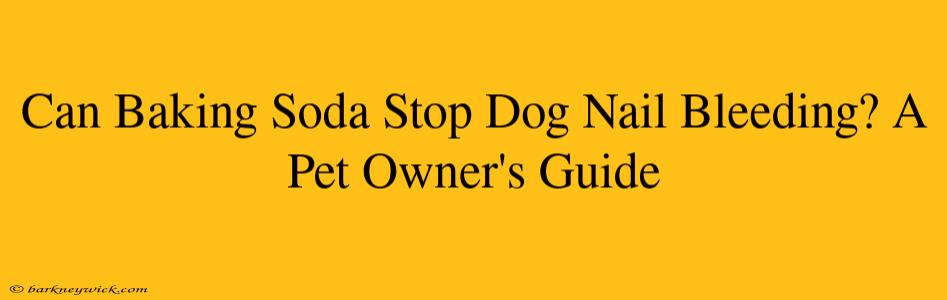 Can Baking Soda Stop Dog Nail Bleeding? A Pet Owner's Guide