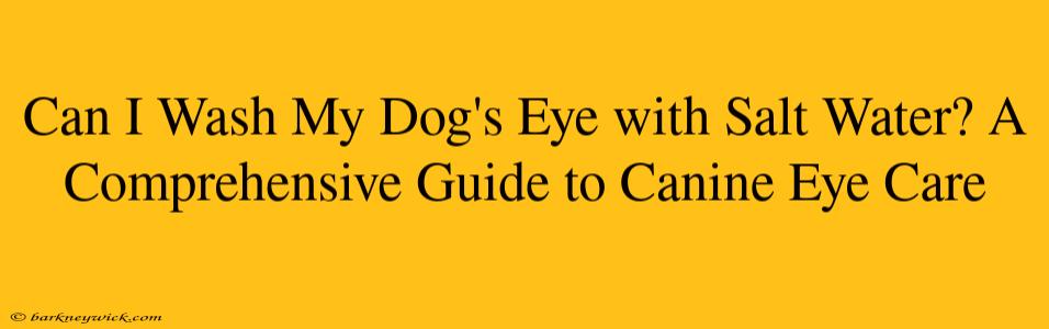 Can I Wash My Dog's Eye with Salt Water? A Comprehensive Guide to Canine Eye Care