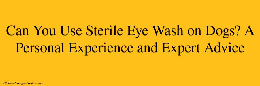 Can You Use Sterile Eye Wash on Dogs? A Personal Experience and Expert Advice