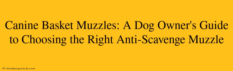 Canine Basket Muzzles: A Dog Owner's Guide to Choosing the Right Anti-Scavenge Muzzle