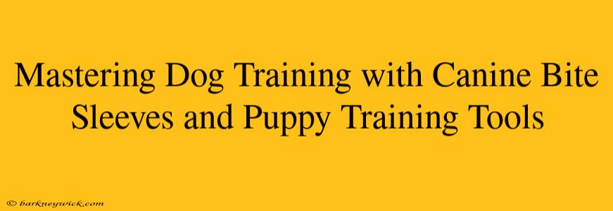 Mastering Dog Training with Canine Bite Sleeves and Puppy Training Tools