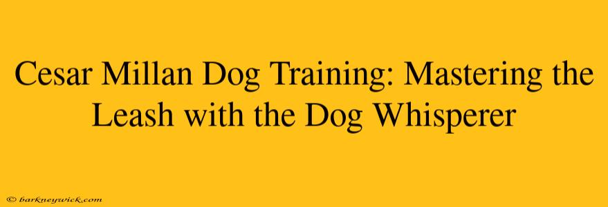 Cesar Millan Dog Training: Mastering the Leash with the Dog Whisperer