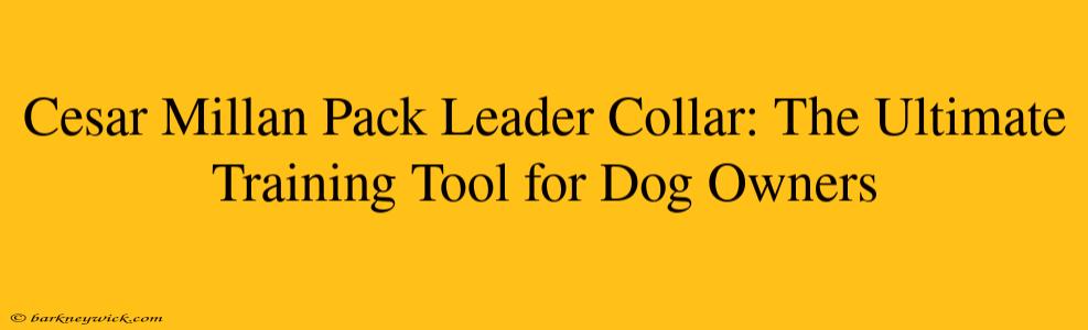 Cesar Millan Pack Leader Collar: The Ultimate Training Tool for Dog Owners