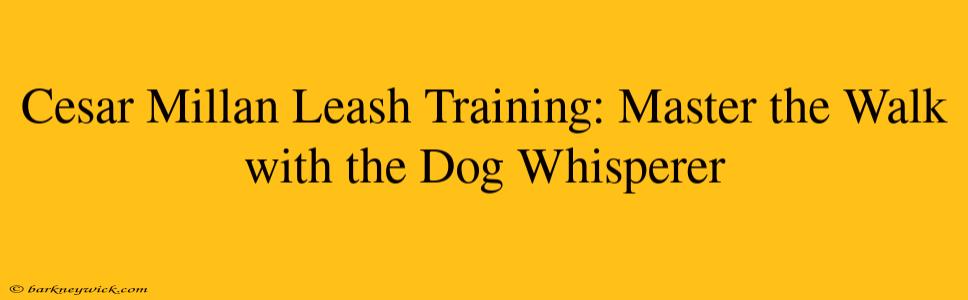 Cesar Millan Leash Training: Master the Walk with the Dog Whisperer