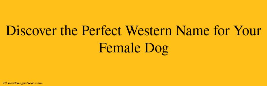 Discover the Perfect Western Name for Your Female Dog