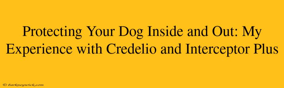 Protecting Your Dog Inside and Out: My Experience with Credelio and Interceptor Plus