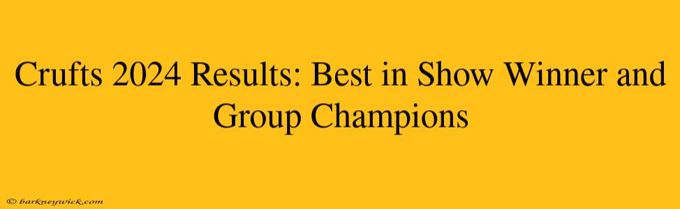 Crufts 2024 Results: Best in Show Winner and Group Champions