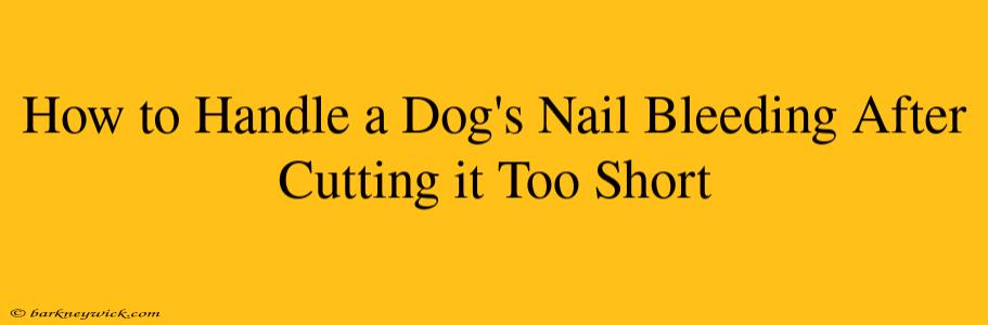 How to Handle a Dog's Nail Bleeding After Cutting it Too Short