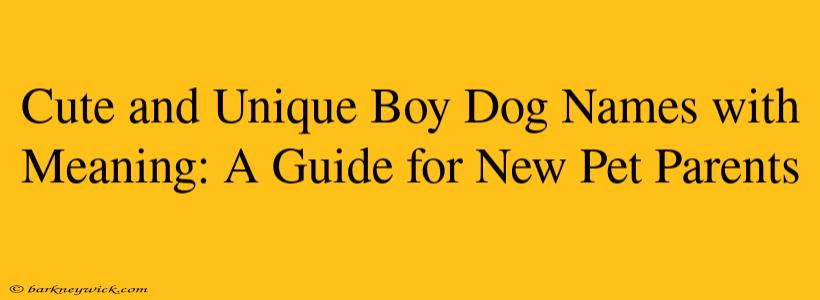 Cute and Unique Boy Dog Names with Meaning: A Guide for New Pet Parents