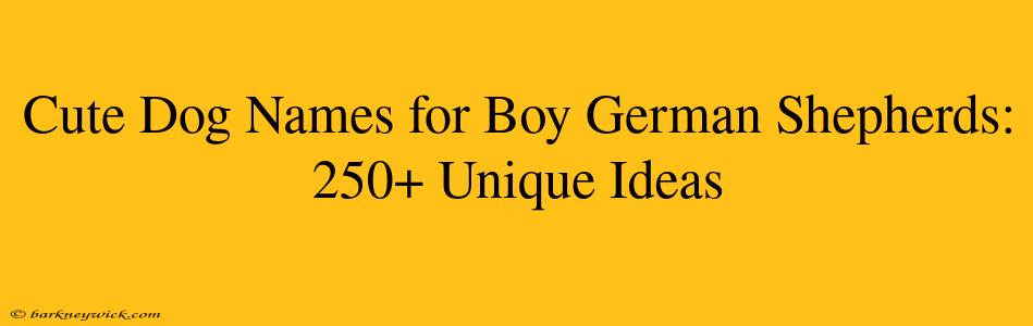 Cute Dog Names for Boy German Shepherds: 250+ Unique Ideas