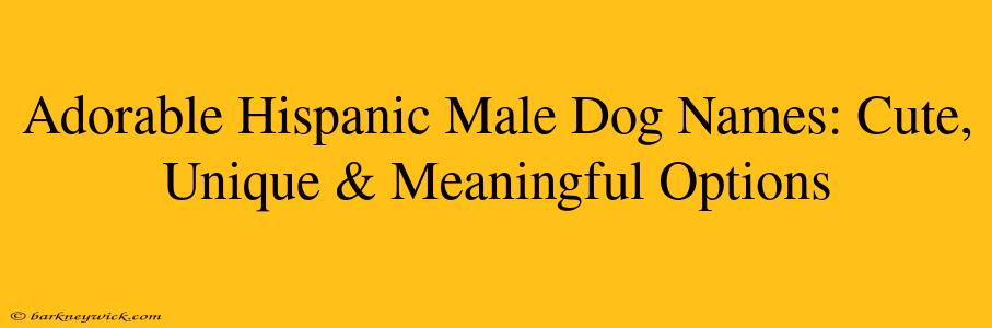 Adorable Hispanic Male Dog Names: Cute, Unique & Meaningful Options