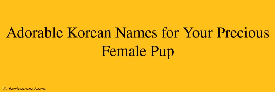 Adorable Korean Names for Your Precious Female Pup