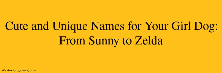 Cute and Unique Names for Your Girl Dog: From Sunny to Zelda