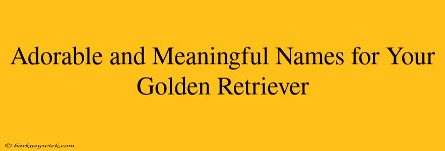 Adorable and Meaningful Names for Your Golden Retriever