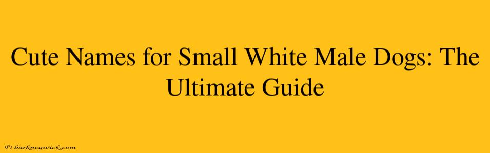 Cute Names for Small White Male Dogs: The Ultimate Guide