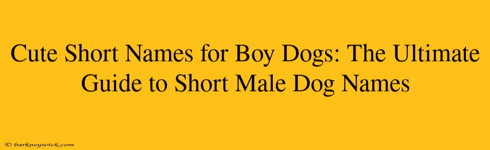 Cute Short Names for Boy Dogs: The Ultimate Guide to Short Male Dog Names