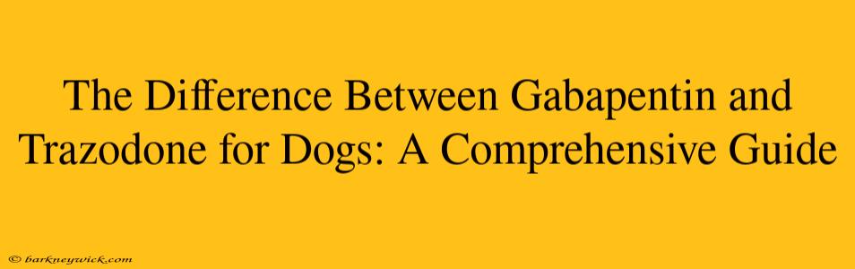 The Difference Between Gabapentin and Trazodone for Dogs: A Comprehensive Guide