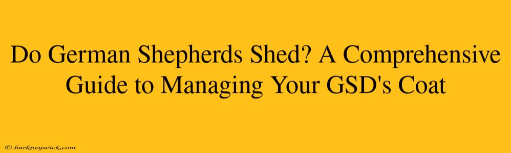 Do German Shepherds Shed? A Comprehensive Guide to Managing Your GSD's Coat