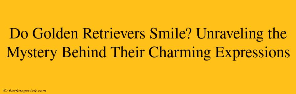 Do Golden Retrievers Smile? Unraveling the Mystery Behind Their Charming Expressions