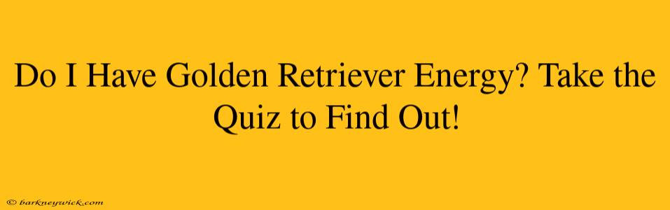 Do I Have Golden Retriever Energy? Take the Quiz to Find Out!