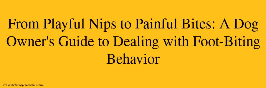 From Playful Nips to Painful Bites: A Dog Owner's Guide to Dealing with Foot-Biting Behavior