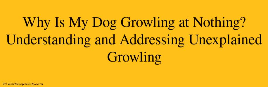 Why Is My Dog Growling at Nothing? Understanding and Addressing Unexplained Growling