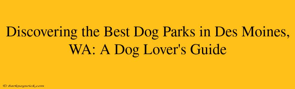 Discovering the Best Dog Parks in Des Moines, WA: A Dog Lover's Guide