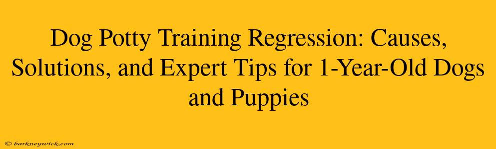 Dog Potty Training Regression: Causes, Solutions, and Expert Tips for 1-Year-Old Dogs and Puppies