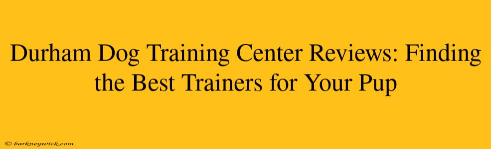 Durham Dog Training Center Reviews: Finding the Best Trainers for Your Pup