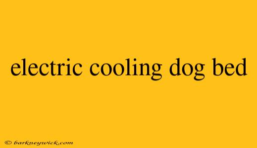 electric cooling dog bed