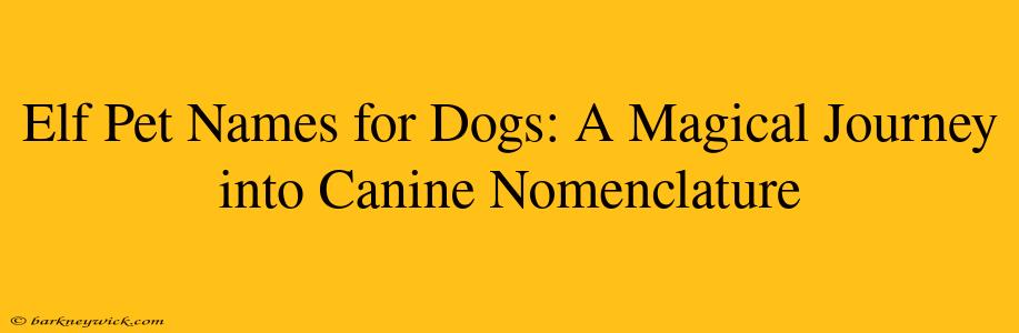 Elf Pet Names for Dogs: A Magical Journey into Canine Nomenclature