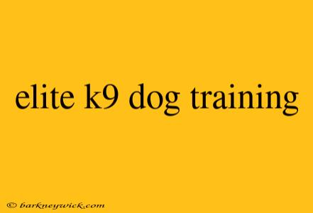 elite k9 dog training