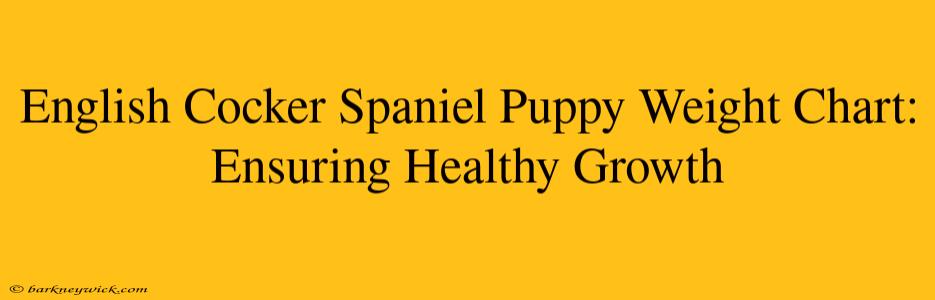 English Cocker Spaniel Puppy Weight Chart: Ensuring Healthy Growth