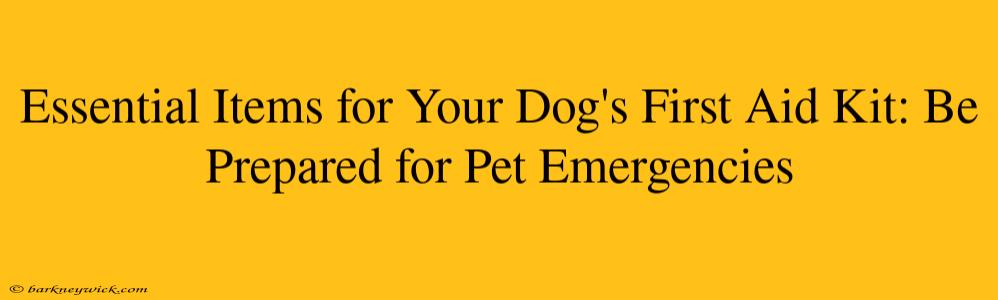 Essential Items for Your Dog's First Aid Kit: Be Prepared for Pet Emergencies