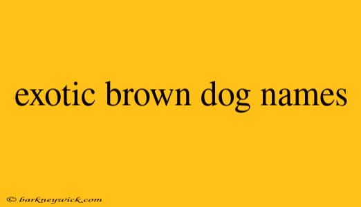 exotic brown dog names