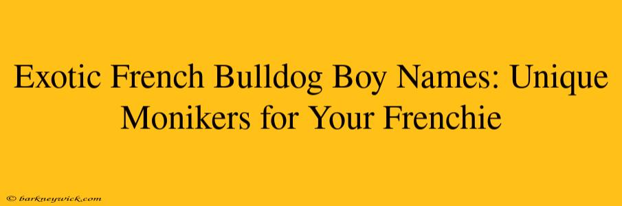 Exotic French Bulldog Boy Names: Unique Monikers for Your Frenchie