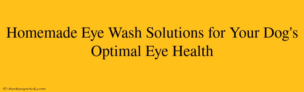 Homemade Eye Wash Solutions for Your Dog's Optimal Eye Health