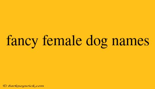 fancy female dog names