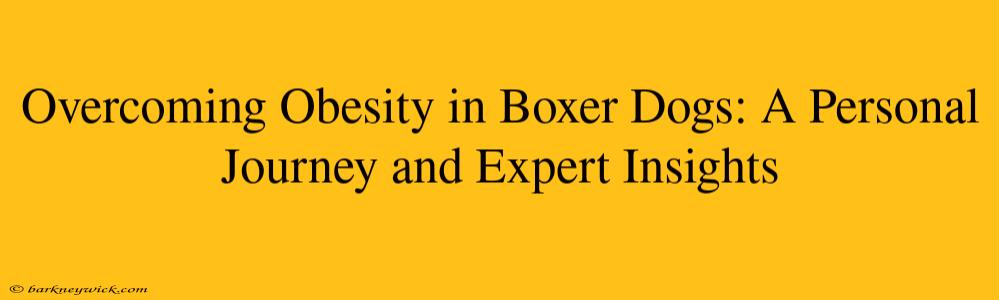 Overcoming Obesity in Boxer Dogs: A Personal Journey and Expert Insights