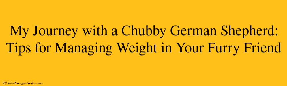 My Journey with a Chubby German Shepherd: Tips for Managing Weight in Your Furry Friend