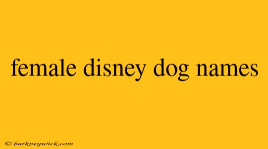 female disney dog names